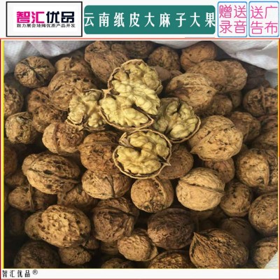 产地直销云南薄皮核桃散装展会纸皮大麻子核桃跑江湖地摊热卖图4
