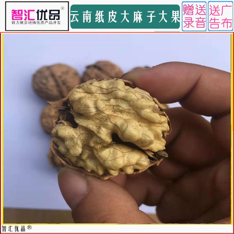 大麻子核桃封面8