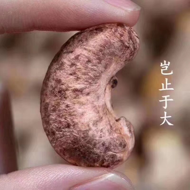 腰果4