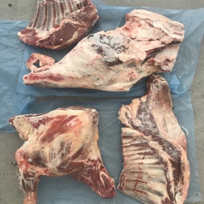 批发供应羊排羔羊骨商用批发羔羊整排冷冻绵羊羔羊排冷链