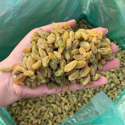 葡萄干批发整箱散装 新疆吐鲁番无核提子干 奶茶商用葡萄干
