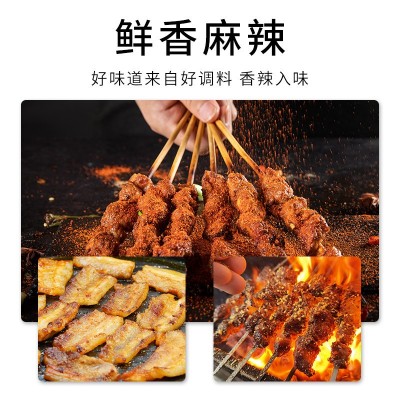 厂家现货批发香辣孜然粉调味料 2g样品小袋装烧烤蘸料 鸡排撒料图3