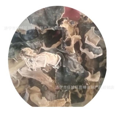 火锅食用菌干榆耳山东农产品特产当年榆耳菇供应图5