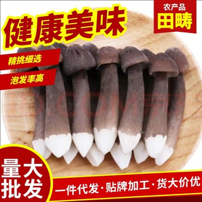 羊肚菌 头茬新货食用菌剪柄滋补煲汤 厂家羊肚菌批发