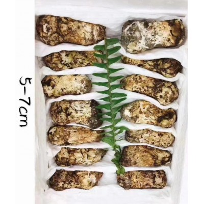 云南野生菌蘑菇香格里拉新鲜松茸产地直发顺丰包邮1000克图5