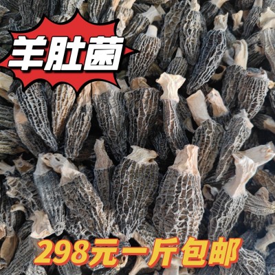 2023年新货云南特产羊肚菌干货批发一斤包邮羊肚菌产地直发蘑菇