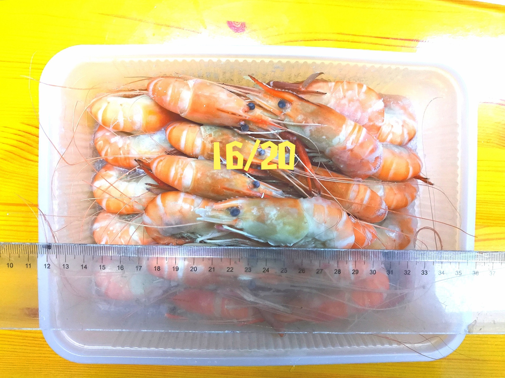 03bb45a501c29c1abfdd7cf8da52ea