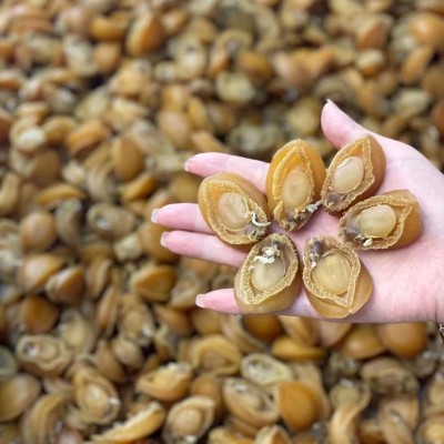 鲍鱼干大连批发水产海鲜干货淡晒佛跳墙食用原材料整箱厂家直销图3