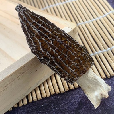 大量批发散装菌菇汤包250足干剪柄云南特产食用菌羊肚菌干货图5
