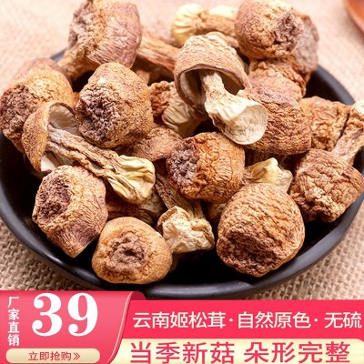 云南姬松茸干货批发原色本色 松茸菌巴西菇蘑菇500g图2