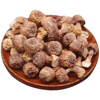 云南姬松茸干货批发原色本色 松茸菌巴西菇蘑菇500g图5