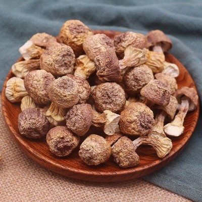 云南姬松茸干货批发原色本色 松茸菌巴西菇蘑菇500g
