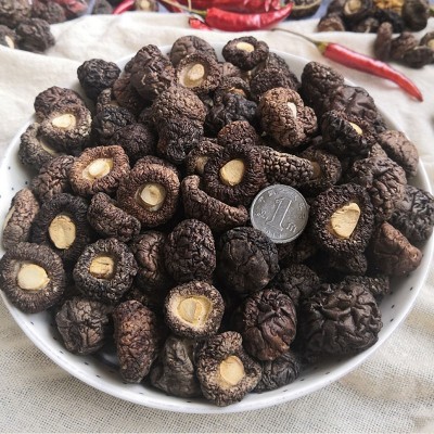 珍珠菇 小香菇干货 金钱菇 福建古田香菇冬菇特产 漳平香菇图4