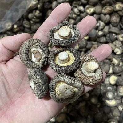 香菇干货批发 光面菇金钱菇 冬菇古田特产干香菇筛选好3-4cm图4
