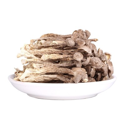 古田食用菌农产品批发 500g蘑菇鹿茸菇直供 厂家货源一件代发图5