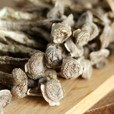 古田食用菌农产品批发 500g蘑菇鹿茸菇直供 厂家货源一件代发图4