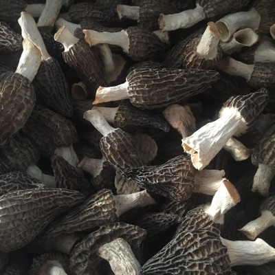 羊肚菌干货云南菌菇羊肚菇500g一斤 厂家直供量大从优图2