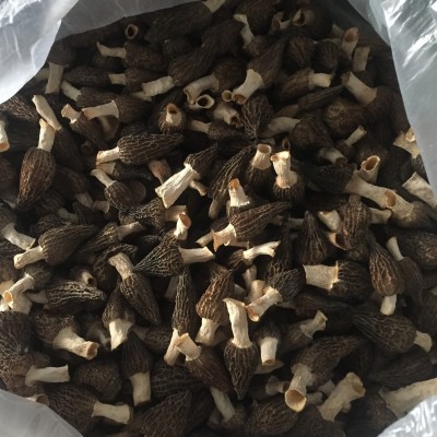 羊肚菌干货云南菌菇羊肚菇500g一斤 厂家直供量大从优图3