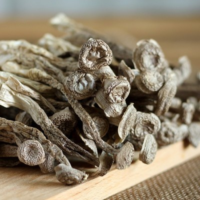 润泽食用菌干货类鹿茸菇货源大量批发菌厂家直供5kg