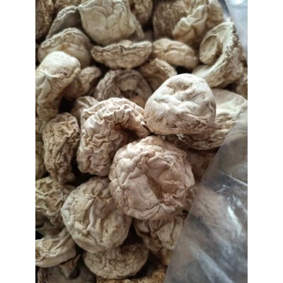 润泽散装磨菇干货食用菌白蘑菇口蘑菌菇炖汤干货批发 量大从优图5