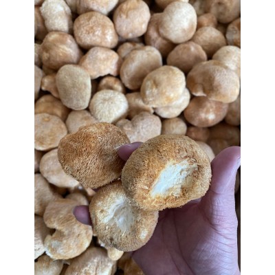 润泽食用菌干货猴头菇 农家直供猴头菇 厂家大量批发图2