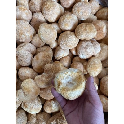 润泽食用菌干货猴头菇 农家直供猴头菇 厂家大量批发图3