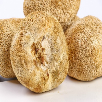 润泽食用菌干货猴头菇 农家直供猴头菇 厂家大量批发图5