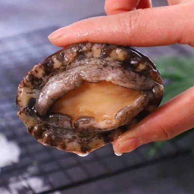厂家批发冷冻鲍鱼火锅烧烤食材 顺丰冷链发货冷冻鲍鱼现货批发图3