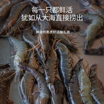 厂家批发东山海鲜黑虎虾斑节虾老虎虾鲜活速冻8~12条规格餐饮供应图3