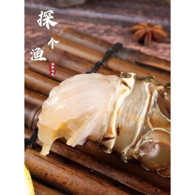 厂家直供小青龙虾鲜活速冻大龙虾大青龙花龙东山岛大海虾厂家直供图2