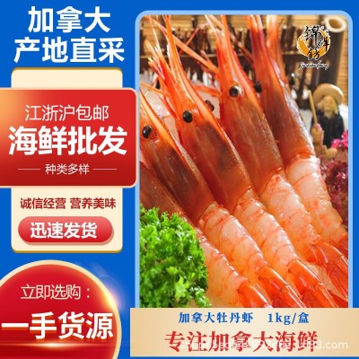 加拿大进口牡丹虾加大号深海红牡丹刺身1箱12kg日料食材冰虾2024