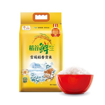 金龙鱼稻谷鲜生雪域稻香贡米 5KG 大米粳米一级 家用团购大米10斤图2