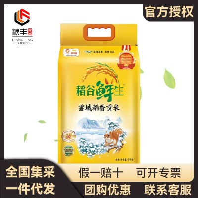 金龙鱼稻谷鲜生雪域稻香贡米 5KG 大米粳米一级 家用团购大米10斤