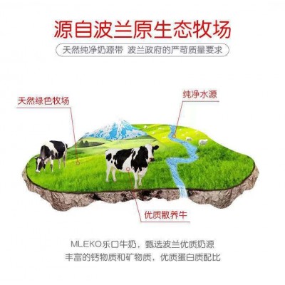 波兰进口乐口MLEKO纯牛奶250ml*12瓶烘焙早餐儿童营养奶2.6日货图3