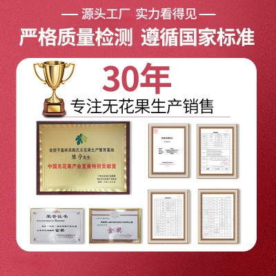 125g罐装芭劳奈新鲜水果干 无尘烘干无花果干办公室小零食蜜饯图2