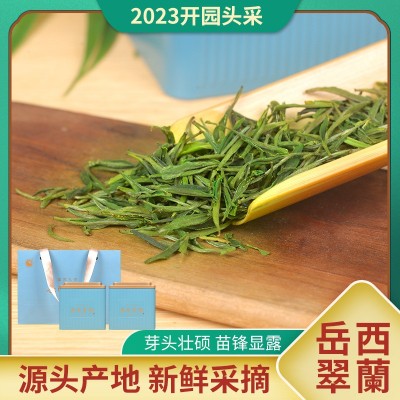 2023安徽岳西翠兰绿茶源产地明前绿茶新茶礼盒装国宾礼茶现货代发