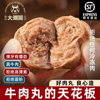尊丸潮汕正宗手打牛肉丸批发火锅食材纯潮州牛筋丸92%牛肉含量