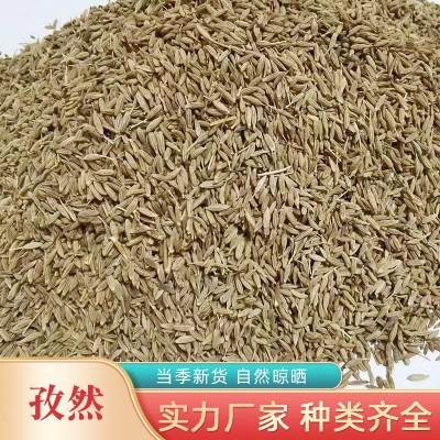 2023年新货新疆孜然 孜然烧烤调味料 烤肉孜然粉500克烧烤配料