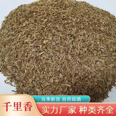 精选千里香食用香料调料家用商用火锅红烧调料