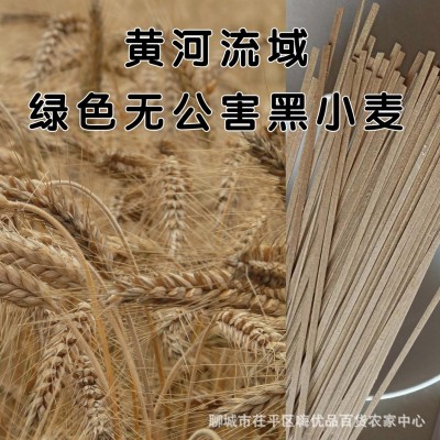 黑小麦全麦挂面粗粮高饱腹面条糖友胖友食品米面粮油批发图4