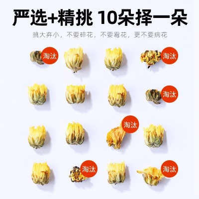杞里香80g圆罐胎菊 桐乡头茬新花采摘胎菊王泡水花果茶菊花茶批发图2