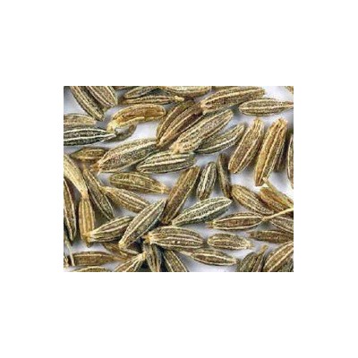厂家直销孜然粉 孜然粉生产厂家 孜然粉 品质保证 欢迎来电咨询图2