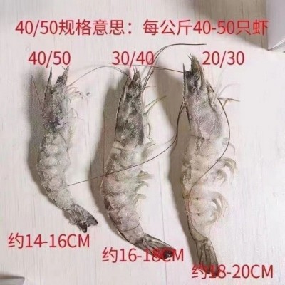 冻虾盐大虾鲜活新鲜只只分离非冰坨海虾对虾基围白海捕大虾一箱图2