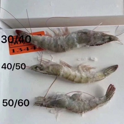 冻虾盐大虾鲜活新鲜只只分离非冰坨海虾对虾基围白海捕大虾一箱图3