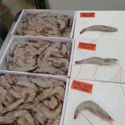 冻虾盐大虾鲜活新鲜只只分离非冰坨海虾对虾基围白海捕大虾一箱图4