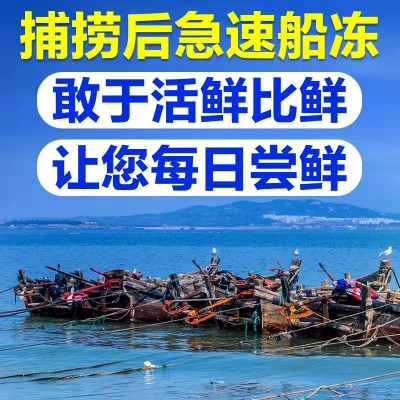 大虾中青岛鲜活速冻大整箱白虾对虾基围虾青虾海鲜厂家批发图3
