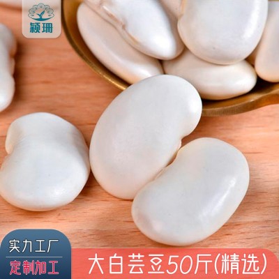 云南大白芸豆50斤 高原白腰豆菜豆大扁豆雪豆 今年新豆 批发供货