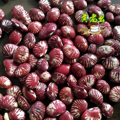 花豆芸豆 熊猫豆 斑马豆25kg