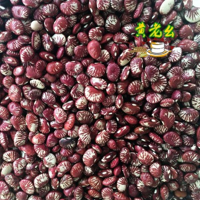 花豆芸豆 熊猫豆 斑马豆25kg图5