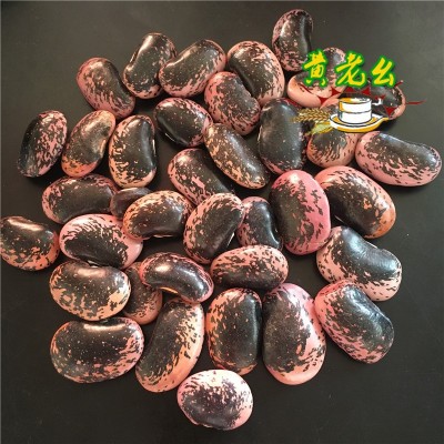 大黑花芸豆 黑花豆 云南花豆 30斤